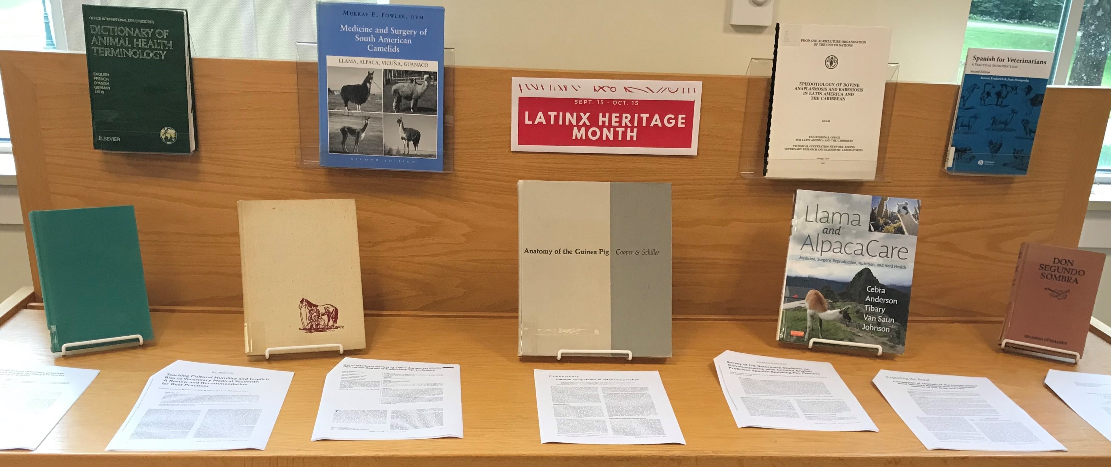 Latinx Heritage Display