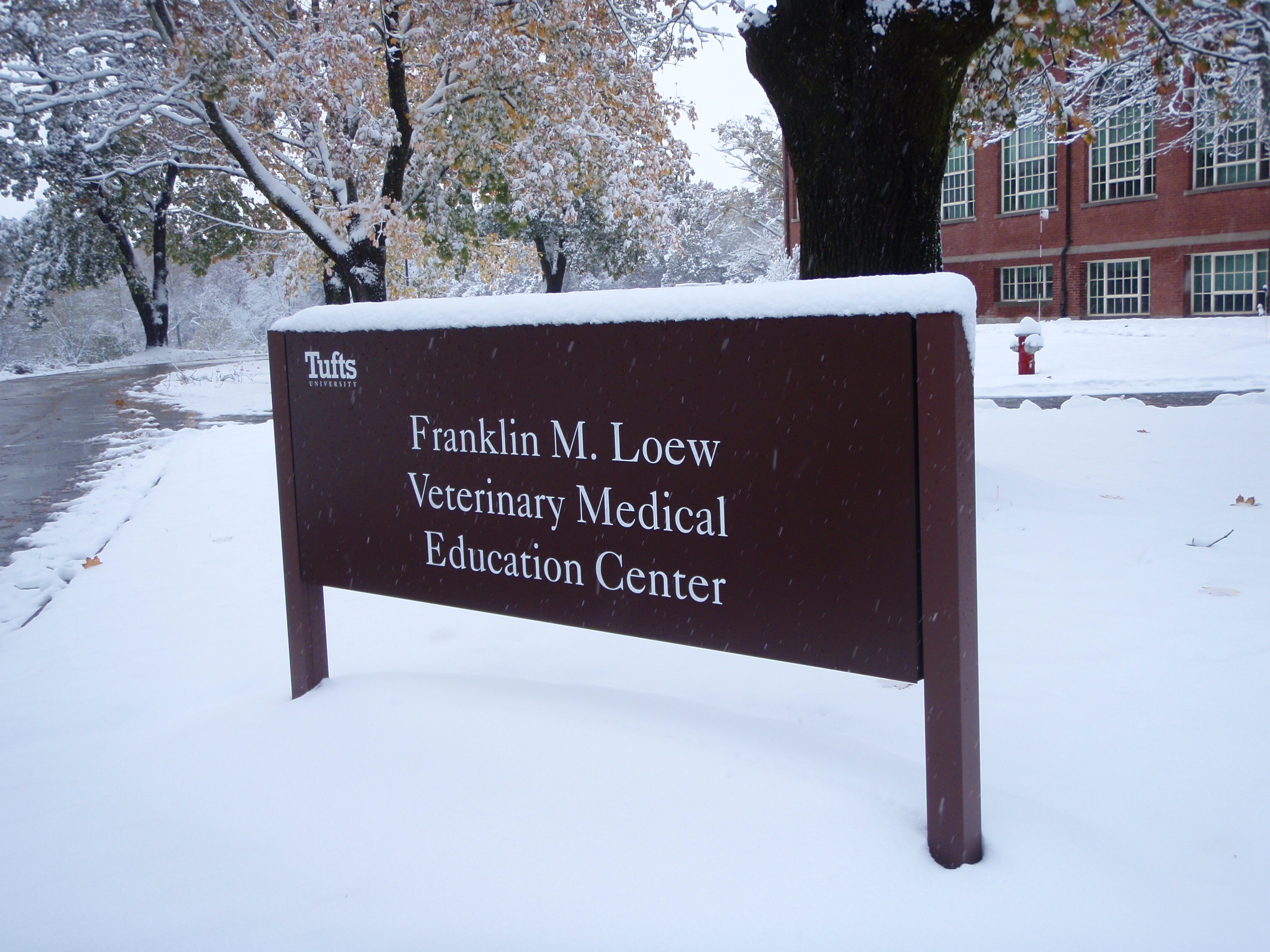 Loew building sign with snow