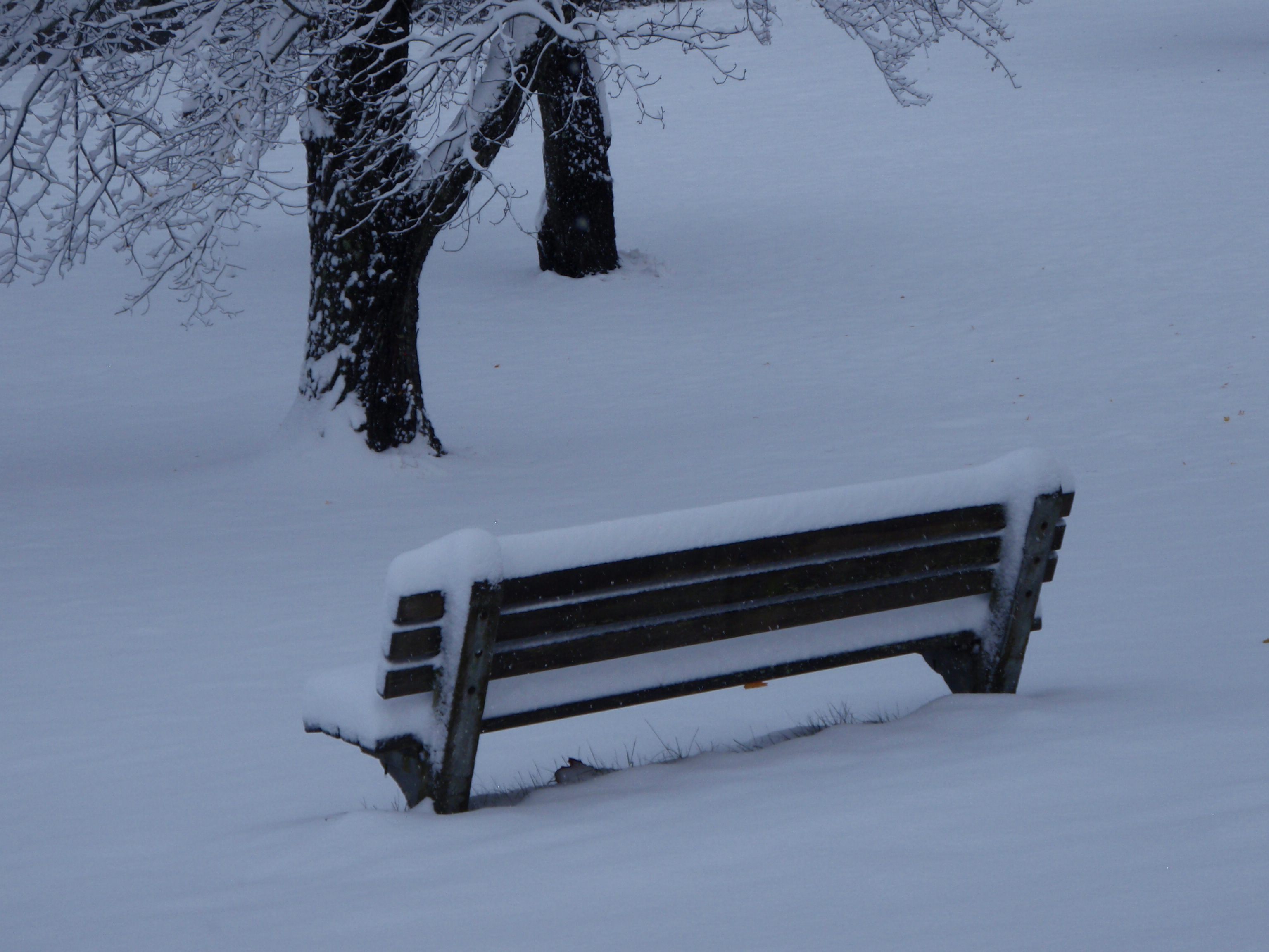 bench with snow on Loew lawn