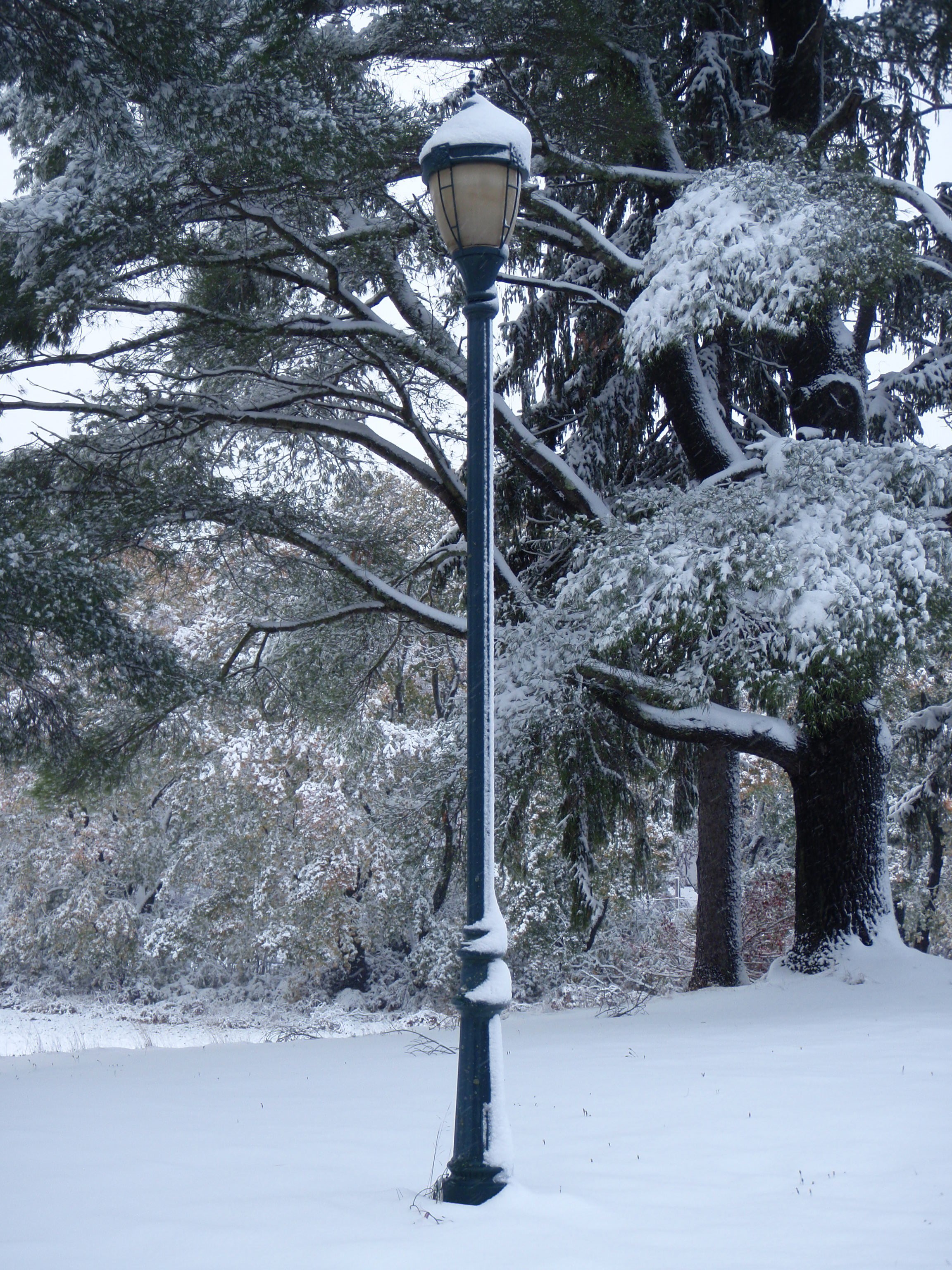 lamp post with snow