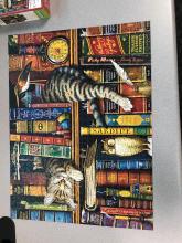 Cat &amp; Book Puzzle