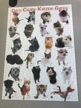 cat puzzle