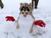 cute snowman